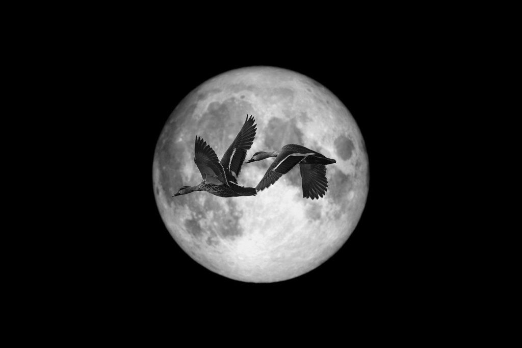 NOUVELLE LUNE EN GEMEAUX DU 27 MAI 2025 A 5H03