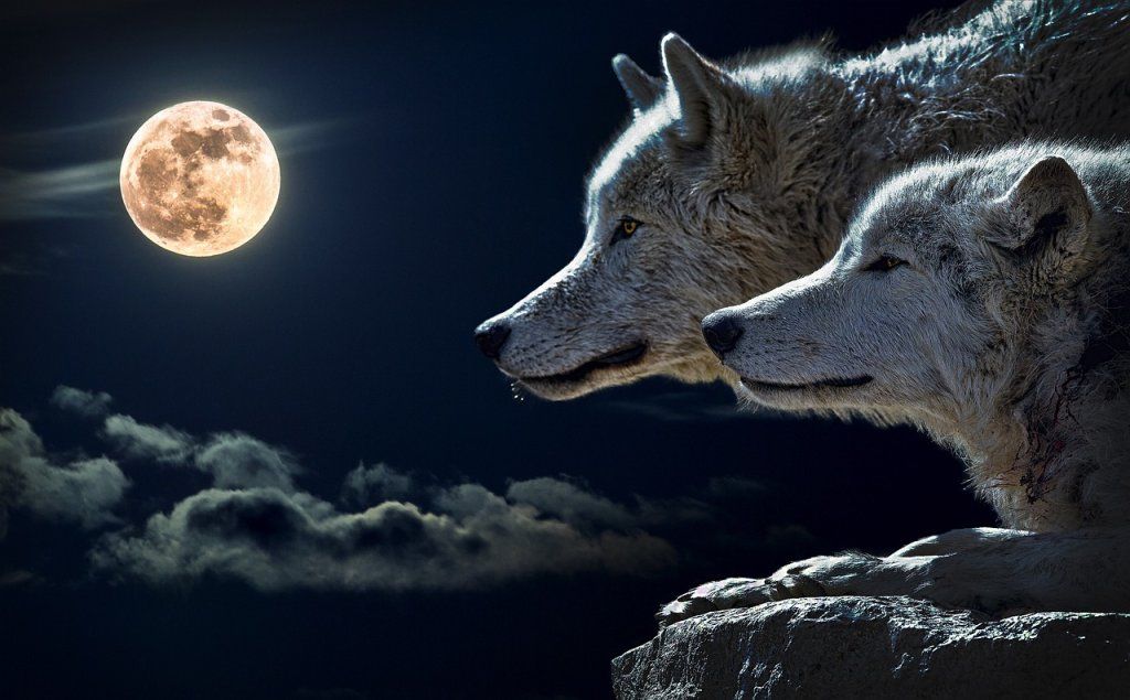 LA PLEINE LUNE EN SAGITTAIRE